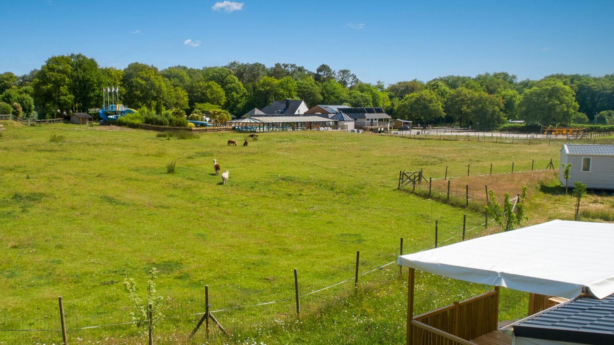 Camping Monterblanc Buitenkant foto